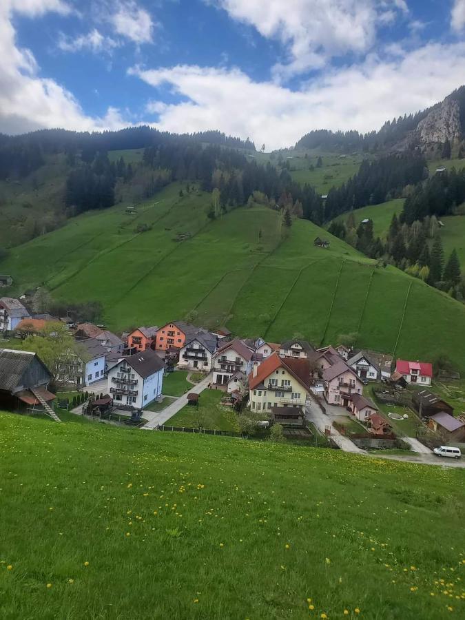 Pensiunea Casa Alba Moeciu De Sus Exterior foto